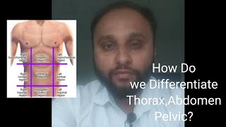 How do we differentiate Human body/Abdomen/thorax/Pelvic by Medical Terminology.|#anatomy #body