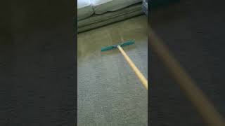 Carpet raking, satisfying carpet lines. #raking #carpetpile #carpetlines #asmr#sounds #fabricmax