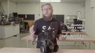 Meet the Canon C300 Mark II