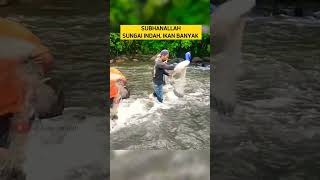 SUBHANALLAH, SUNGAI INDAH - IKAN BANYAK