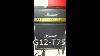 Celestion V30 VS G12-T75 - Marshall Vintage Modern 2466