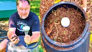 Why EVERY Gardener NEEDS a Compost SNIFFER!