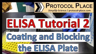 ELISA Tutorial 2: Coating and Blocking the ELISA Plate