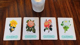 Pick a Card 💐 Special Messages 💐