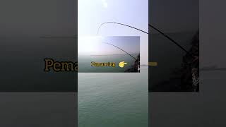 Pemaser bantu pemancing menaikan ikan laut pelabuhan kendal #shorts