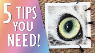 TOP TIPS for Drawing REALISTIC Animal Eyes with Coloured Pencil