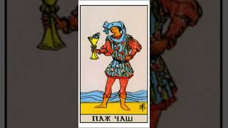 Паж кубков таро А.Уэйта #таро #обучениетаро #tarot #арканытаро