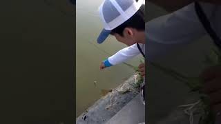 River Fishing tips and Techniques | fishing videos | how to catch fish in river #shorts #fishing