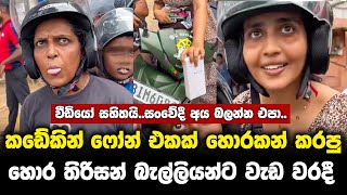 හොර බැල්ලියෝ දෙන්නා අත්තඩංගුවට..