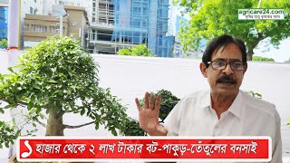 ১ হাজার থেকে ২ লাখ টাকার বট-পাকুড়-তেঁতুলের বনসাই