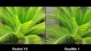 Xiaomi Redmi Y2 VS Oppo RealMe 1 Camera Comparison