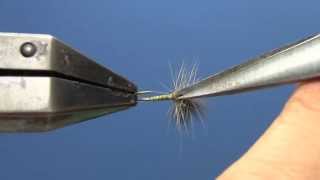 Fly Tying with Hans- CDC Thorax Dun