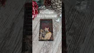 Карта дня на 23 Февраля #картадня #таро #прогноз #гадание #гороскоп #февраль