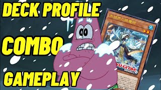 Complete Guide to Ice Barrier *W/ New Support* | Deck Profile, Combo, Gameplay | Yu-Gi-Oh! 2023