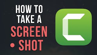 How to take a SCREENSHOT in Camtasia