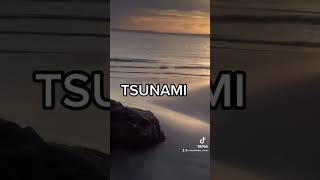 Tsunami en directo #tsunami #miedo #video