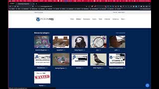 PigeonAds com Tutorial - Using Pigeonads.com Website