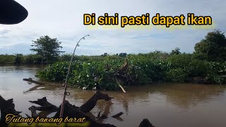 spot banyak enceng gondok || mancing di sungai anak tulang bawang @TBBmancing7673