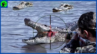 How Do American Hunters And Farmers Deal With Million Of Wild Crocodile And Deer By Guns