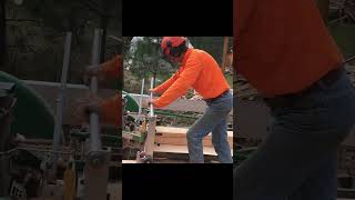 Sawmill Teamwork! 🏃‍♂️ (High Speed) #shorts