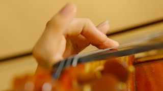 “COOLEST” - "Sakamoto desu ga?” - 坂本ですが？ OP (TV size Violin Cover)