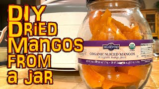 Drying Del Destino mangos in a jar from costco in a dehydrator