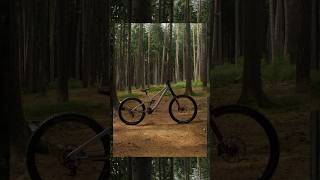 SCRUB - The all new downhill bike