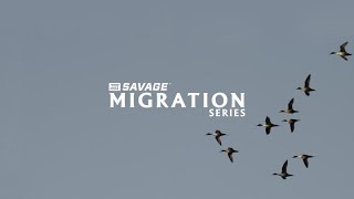 Migration Series: A Special Breed