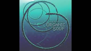 Organic Soup - Surfing Bird