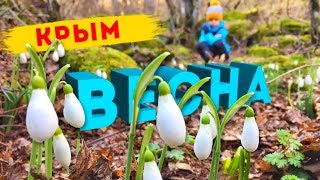 ВЕСНА в Крыму 2019! Первые подснежники в горах Крыма