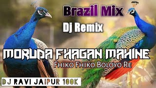 Moruda Fhagan Mahine Fhiko Fhiko Boloyo Re || Dj Remix Brazil Mix || Rajasthani Song || Dj Ravi