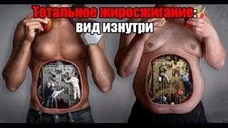 Тотальное жиросжигание: вид изнутри