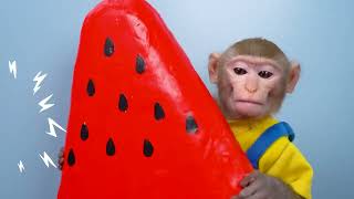 KiKi Monkey challenge with Cute Miniature Animal Jelly Fruit & Watermelon Ice Cream KUDO ANIMAL KIKI