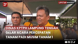 (LIPSUS) - DINAS KPTPH LAMPUNG TENGAH GELAR ACARA PERCEPATAN TANAM PADI MUSIM TANAM 1