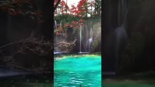 Gorgeous view from Plitvice National Park, Croatia 🇭🇷 😍? TRAVEL MOMENTS