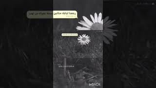 إلهي احنا الگبل صلفين♥️🥺💔#سمير_صبيح #ستوريات #ايهاب_المالكي