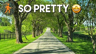 Most Beautiful Drive in America? Kentucky Horse Country Backroads - 4K Dashcam