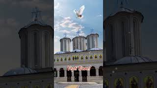 Atingeți biserica #shorts#shortvideo#ortodoxă#iisus