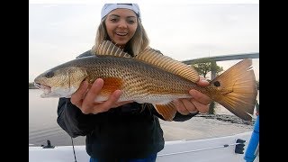 HOW TO CATCH REDFISH in the SPRING - While Catching REDFISH!!