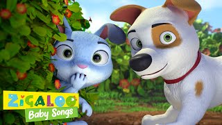 Bunny Hop with Johnny and Friends and more Kids Videos by Zigaloo Baby Songs