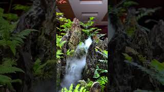 Beautiful smoky jungle waterfall, source by @methuysinh68 #brianaquatic #aquascape #shorts