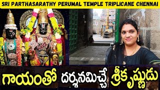 History and Significance of Parthasarathy Perumal Temple Triplicane Chennai | Vlog | Temple Tour