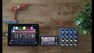 Drambo | Midi Fighter Twister | Tutorial (In Loopy Pro)