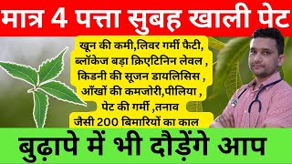 ये तीन पत्ते रोज़ खा के आप खुद को 80%बिमारियों से बचा सकते हैं ये पत्ता है कई गंभीर बिमारियों का इलाज़