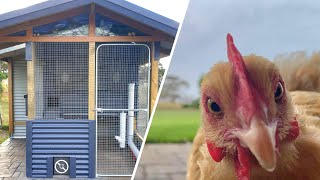 Chicken house build (part 1) with leadlight window and every luxury a chicken could wish for!