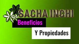 SACHA INCHI  - DESCUBRE SUS BENEFICIOS