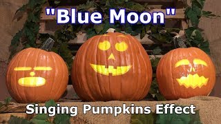 Blue Moon - Singing Pumpkins Effect Animation