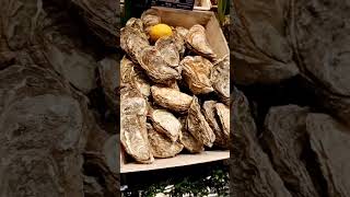 My fave Oyster!!! #yummy #satisfying  #oyster #youtubeshorts #shorts