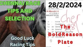 Chennai Race Tips and Selection The Bold Reason Plate