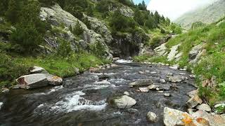 🎧Calming Stream In A Mountain | Water Stream Sounds For Yoga, Improve Concentration Or Meditation